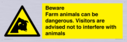 beware-farm-animals-can-be-dangerous-visitors-are-advised-not-to-interfere-with-~